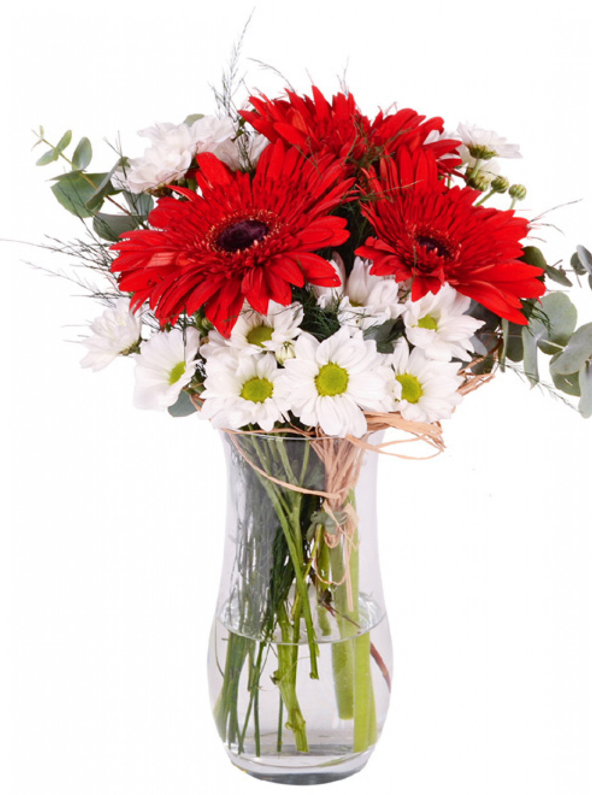 Kırmızı Gerbera Ve Papatya Vazosu