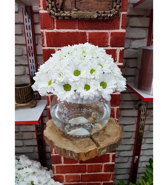 Paşabahçe Vazoda Papatya Küresi