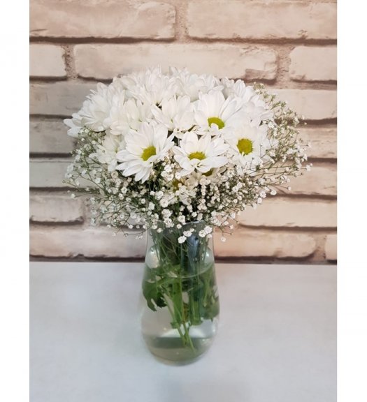 Papatya Bahçesi Paşabahçe Vazoda