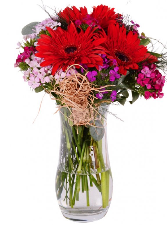 Vazoda Hüsnüyusuf Kırmızı Gerbera
